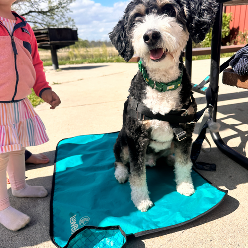 Ultralight Portable Dog Settle Mat: Water-Resistant, USA-Made Place Training Mat