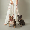 3-in-1 City Dog Leash - Madison