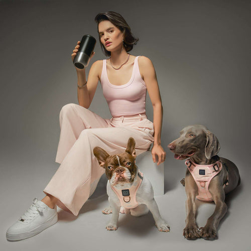 SoHo Dog Harness - Sweetheart