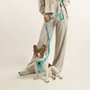 SoHo Dog Harness - Fifth Avenue
