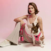 SoHo Dog Harness - Park Ave Pink