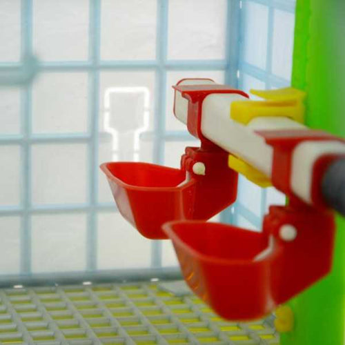 Grow Out Pen - 2 Section H:9.5