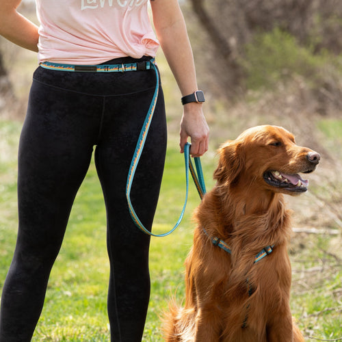 Adjustable Hands-Free Tether Leash 1''