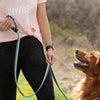 Adjustable Hands-Free Tether Leash 3/4''