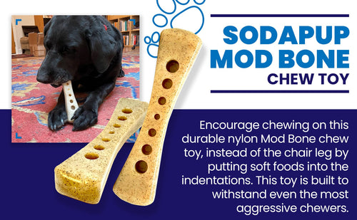 MOD Bone Nylon Dog Chew Toy for Aggressive Chewers | USA Made