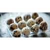 Fresh Quail Eggs for Cooking or Pets