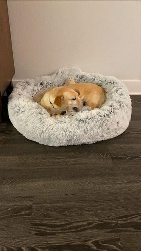 Mr. Peanut's 28 OrthoPlush® Pet Bed - Snowflake White Two Tone