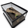 EncloSure™ Replacement Lid for Zoo Med Creatures® Creature Den Low Profile