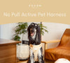 NO PULL ACTIVE  PET HARNESS - APRICOT