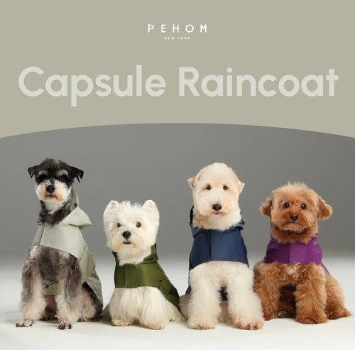 Capsule Raincoat - Blue