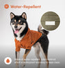 BOWERY RAINCOAT - ORANGE