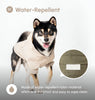BOWERY RAINCOAT - BEIGE