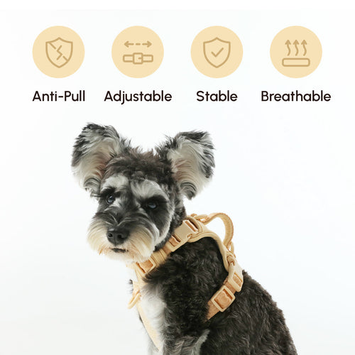 NO PULL ACTIVE  PET HARNESS - APRICOT