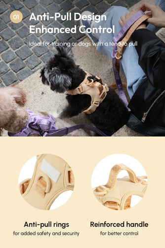 NO PULL ACTIVE  PET HARNESS - APRICOT