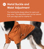 BOWERY RAINCOAT - ORANGE