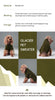 GLACIER PET SWEATER - OLIVE GREEN
