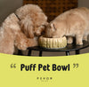 Puff Pet Bowl - Gradient Olive
