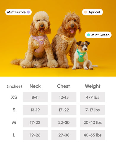 NO PULL ACTIVE  PET HARNESS - APRICOT