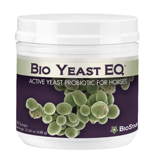 Bio Yeast EQ