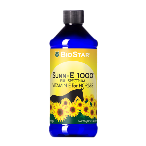 Sunn-E 1000