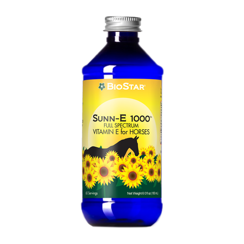 Sunn-E 1000