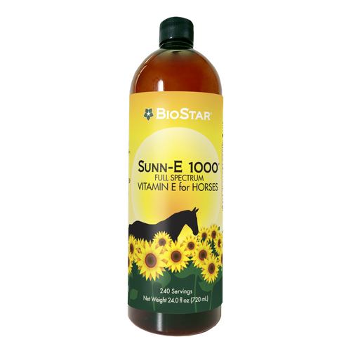 Sunn-E 1000