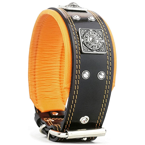 The Eros collar 2.5 inch wide black & orange