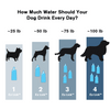 Vapur® EZ Lick™ Portable Dog Water Bottle