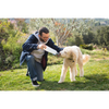 Vapur® EZ Lick™ Portable Dog Water Bottle