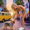 EcoBark Lavender Dog Leash - Comfort Grip Padded Leash - 4ft, 5ft, and 6ft for Small and Medium Dogs