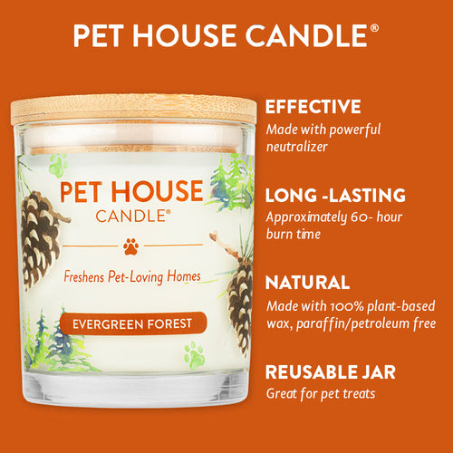 Evergreen Forest Candle