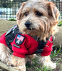 MINI AMERICAN DOG & CROSSBONES SHIELD Morale Patch