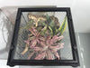 EncloSure™ Replacement Lid for Exo Terra Natural Terrarium 12″ × 12″