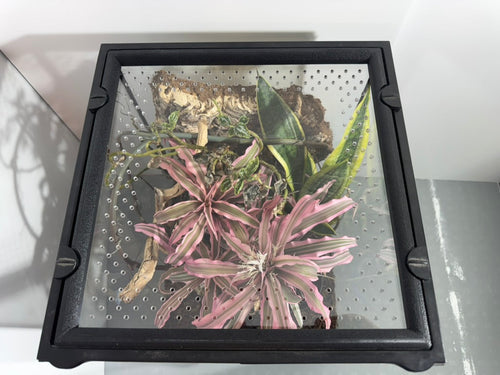 EncloSure™ Replacement Lid for Exo Terra Natural Terrarium 12″ × 12″