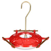AspenPerch® Hummingbird Feeder with Grandview™ Perch, 8 oz.