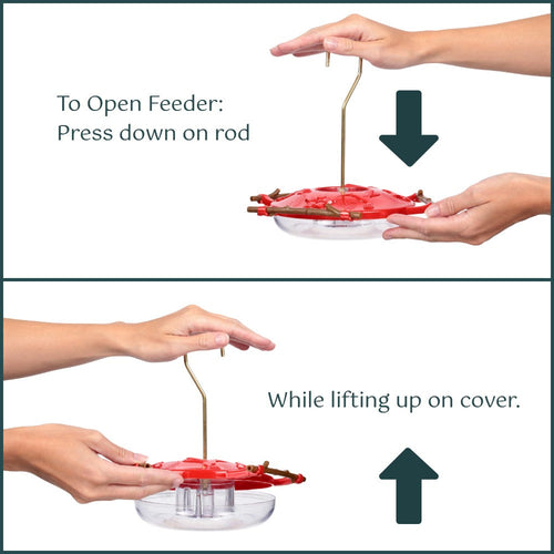 AspenPerch® Hummingbird Feeder with Grandview™ Perch, 8 oz.