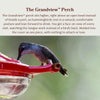 AspenPerch® Hummingbird Feeder with Grandview™ Perch, 8 oz.