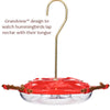 Hummguard® Hummingbird Feeder Bundle, 8 oz Feeder + 12 Nectar Tips