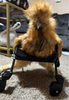 Smaller Chicken Wheelchair