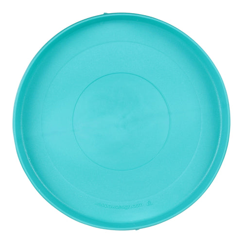 Zisc Teal