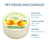Fresh Citrus Mini Candle