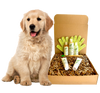4-FURRY DOGS *RESTORATIVE GROOMING KIT