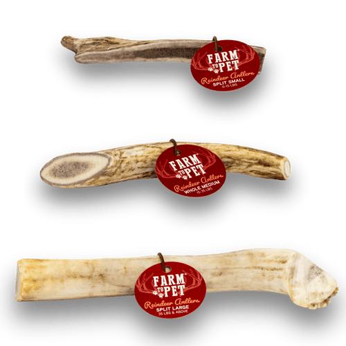 REINDEER ANTLERS FOR DOGS | ANTLER DOG CHEWS FOR AGGRESSIVE CHEWERS