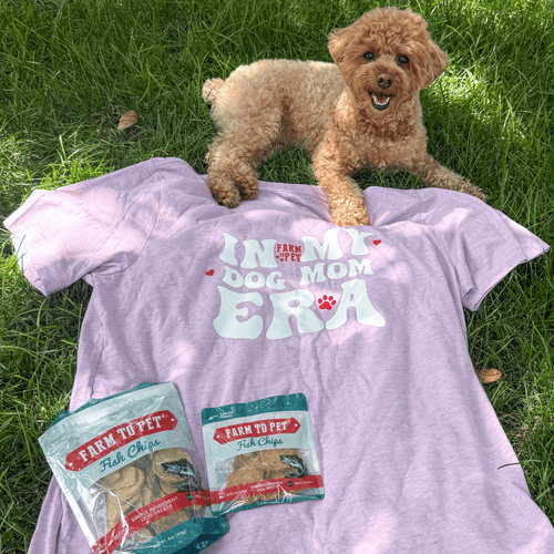Dog Mom Era T-shirt | Paw-fect Gift for Dog Moms