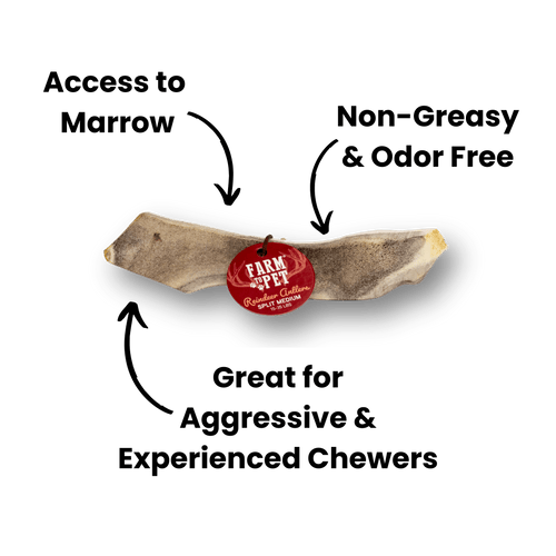 REINDEER ANTLERS FOR DOGS | ANTLER DOG CHEWS FOR AGGRESSIVE CHEWERS