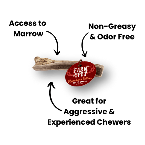 REINDEER ANTLERS FOR DOGS | ANTLER DOG CHEWS FOR AGGRESSIVE CHEWERS