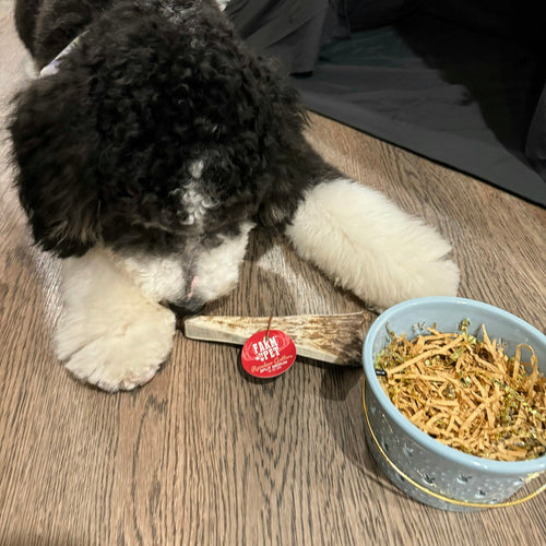 REINDEER ANTLERS FOR DOGS | ANTLER DOG CHEWS FOR AGGRESSIVE CHEWERS