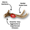 DEER ANTLER DOG CHEWS | ORGANIC CHEW FOR LARGE DOGS