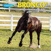 Farnam Bronco Equine Fly Spray Plus Citronella Repellent 32 oz. for Horses & Dogs