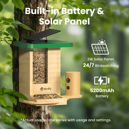 Birdfy Feeder Wood - Wooden Smart Bird Feeder with Camera